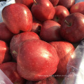 red apples fresh fruit  red delicious apples